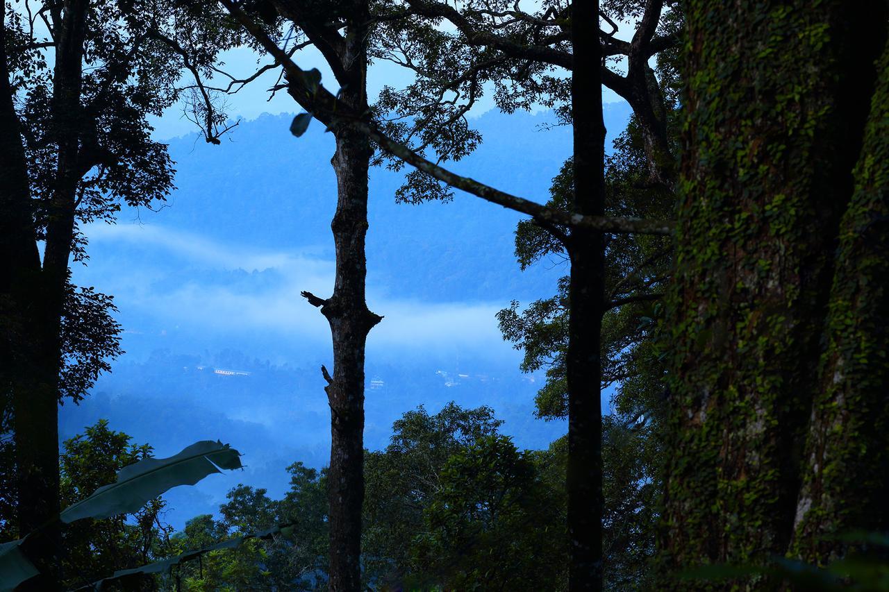 Madhumanthra Resort - Homestay Munnar Bagian luar foto