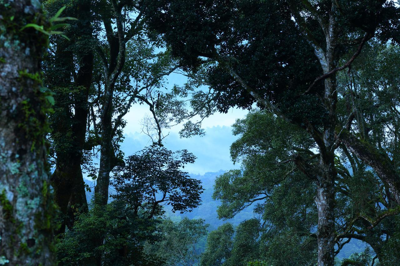Madhumanthra Resort - Homestay Munnar Bagian luar foto